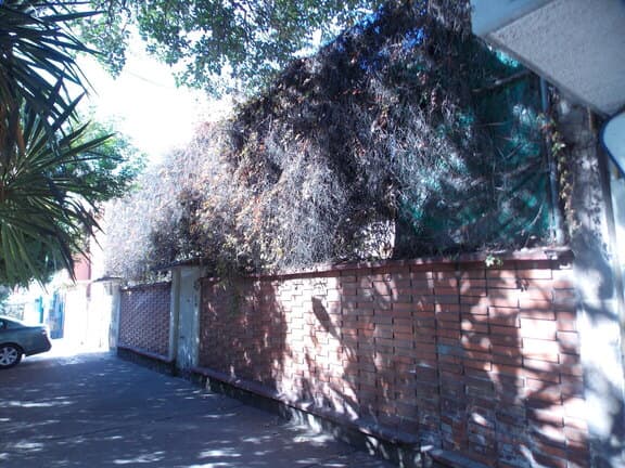 DSCN2128.jpg