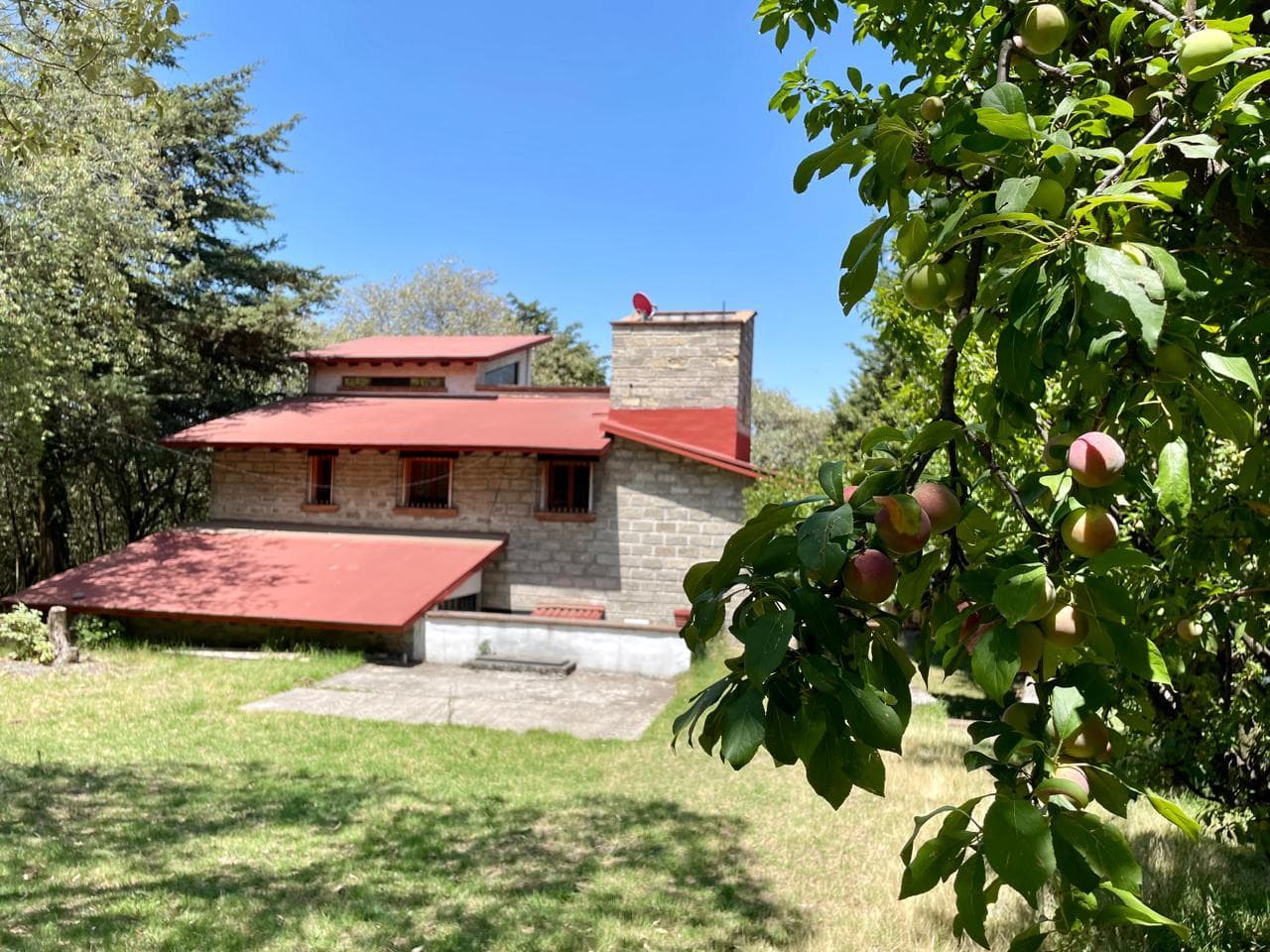 ajusco1.jfif